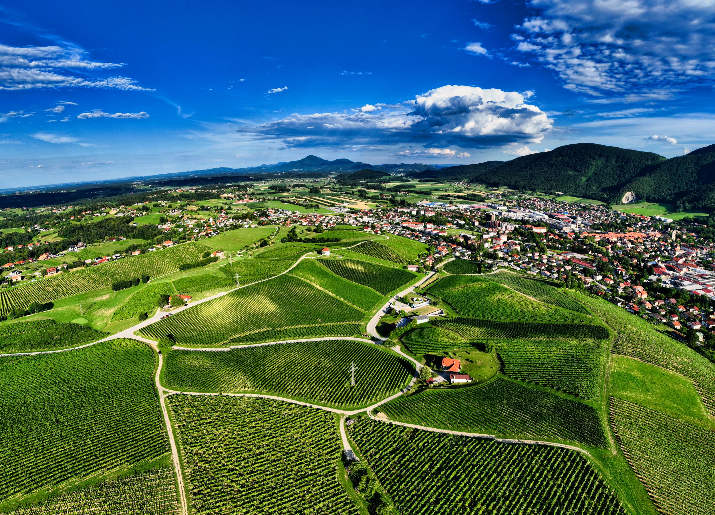 Zlati-gric-25_04_pogled-na-konjice