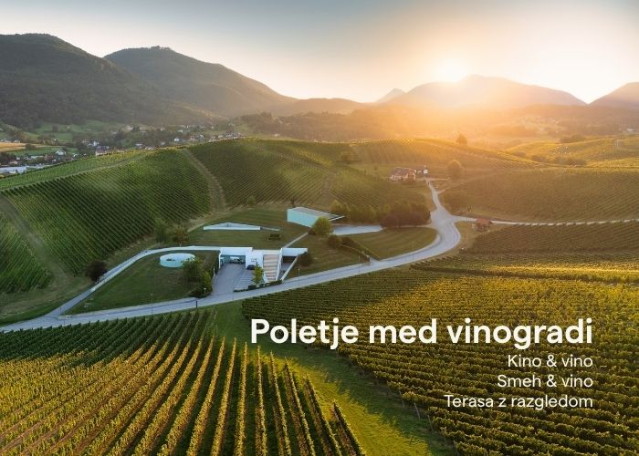 Poletje-med-vinogradi_novice